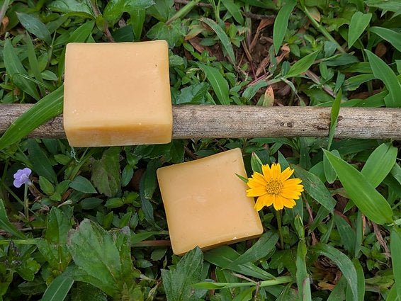 Beeswax - Beeja Botanicals