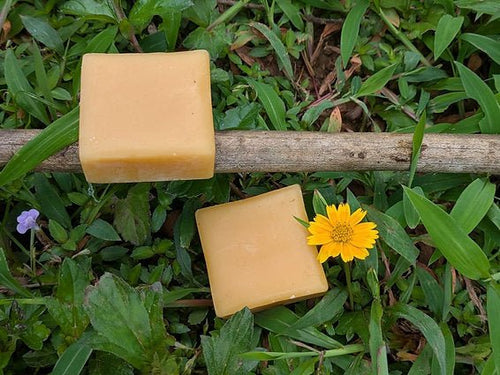 Beeswax - Beeja Botanicals