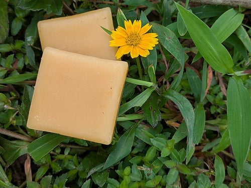 Beeswax - Beeja Botanicals