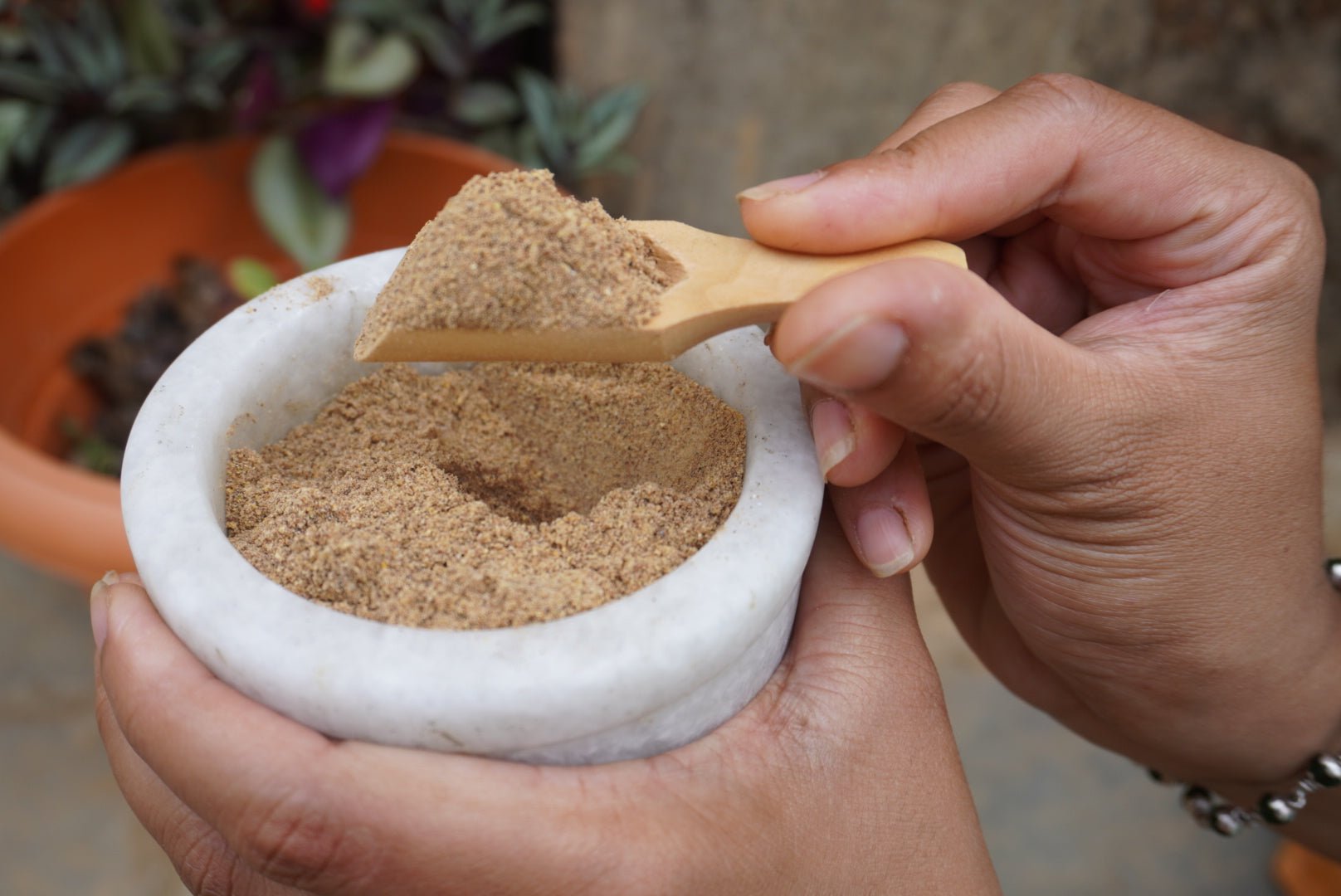 Face Cleansing Powder - Beeja Botanicals