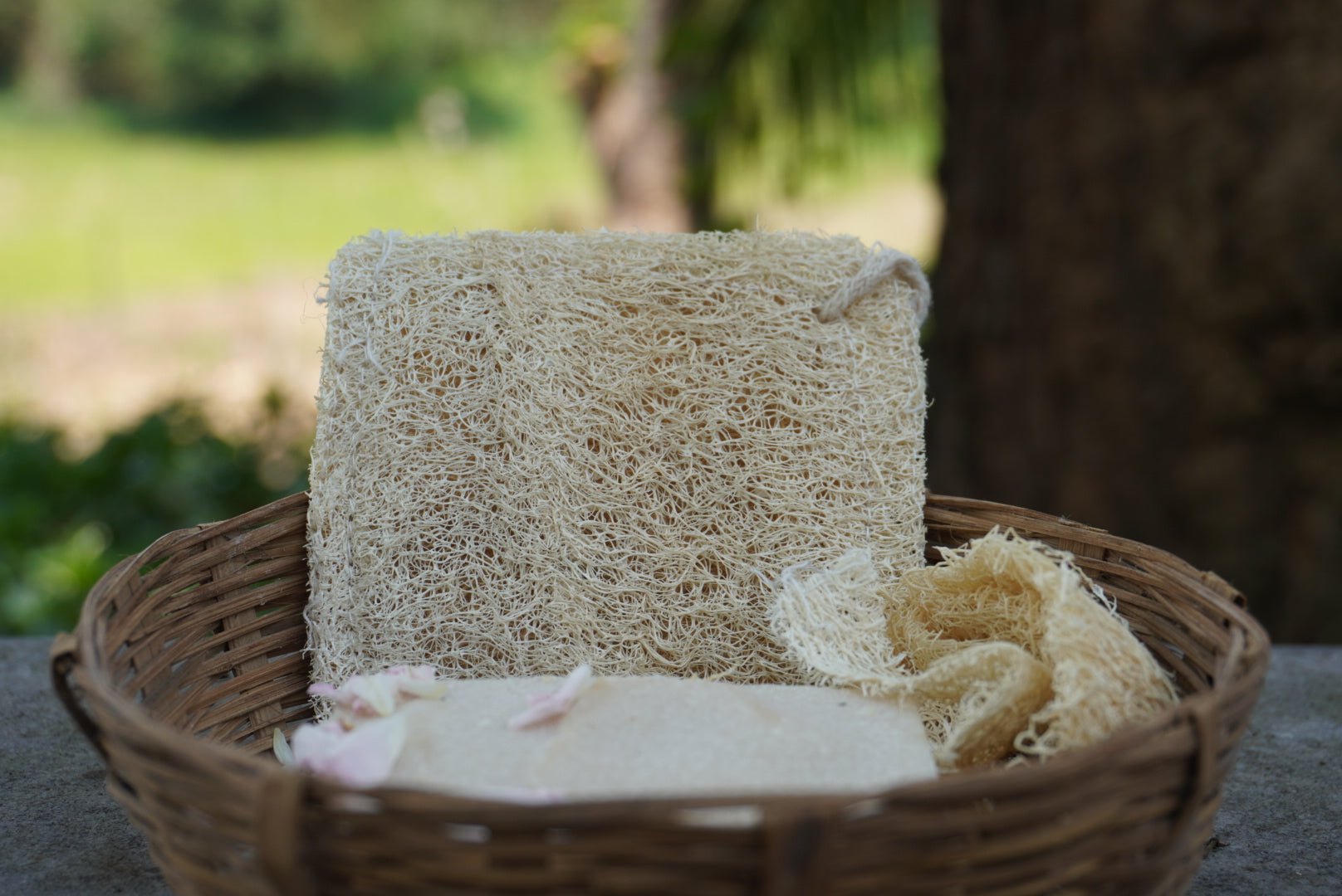 Loofah Soap - Beeja Botanicals